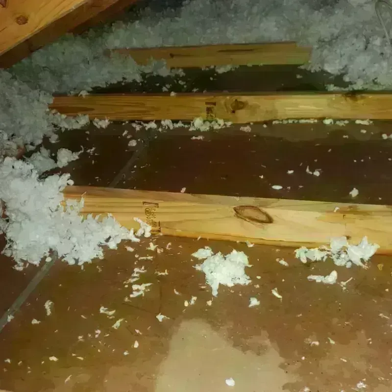 Attic Water Damage in Cherokee County, KS