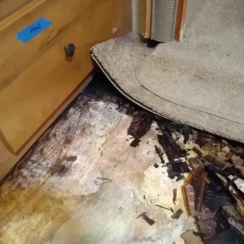 Wood Floor Water Damage in Cherokee County, KS